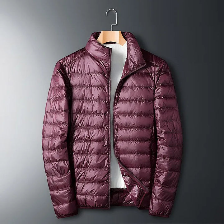 Herren Daunenjacke Mit Stehkragen | Winter